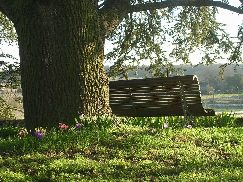 Lemere Chateau De La Noblaye Bed & Breakfast エクステリア 写真