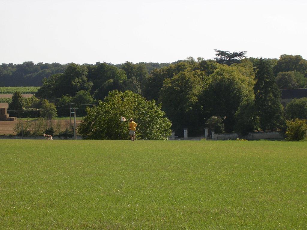 Lemere Chateau De La Noblaye Bed & Breakfast エクステリア 写真