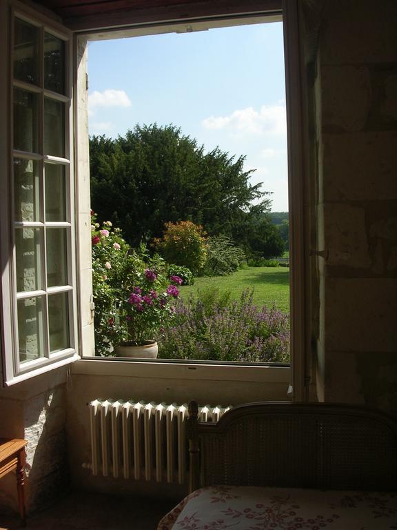 Lemere Chateau De La Noblaye Bed & Breakfast エクステリア 写真