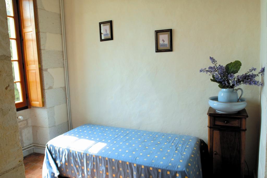 Lemere Chateau De La Noblaye Bed & Breakfast エクステリア 写真